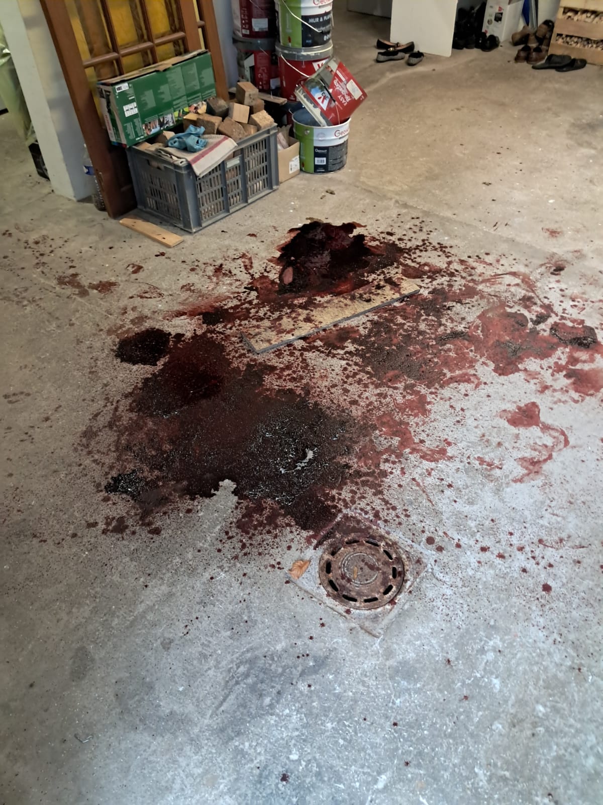 WhatsApp Image 2025 01 21 A 10.33.08 02d8f676