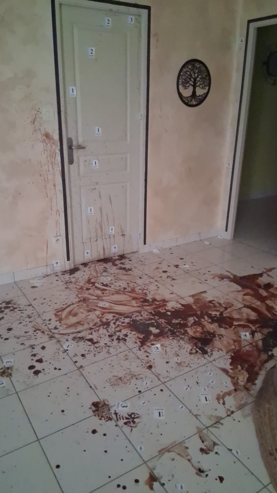 WhatsApp Image 2025 04 17 A 15.42.12 34fb85a2