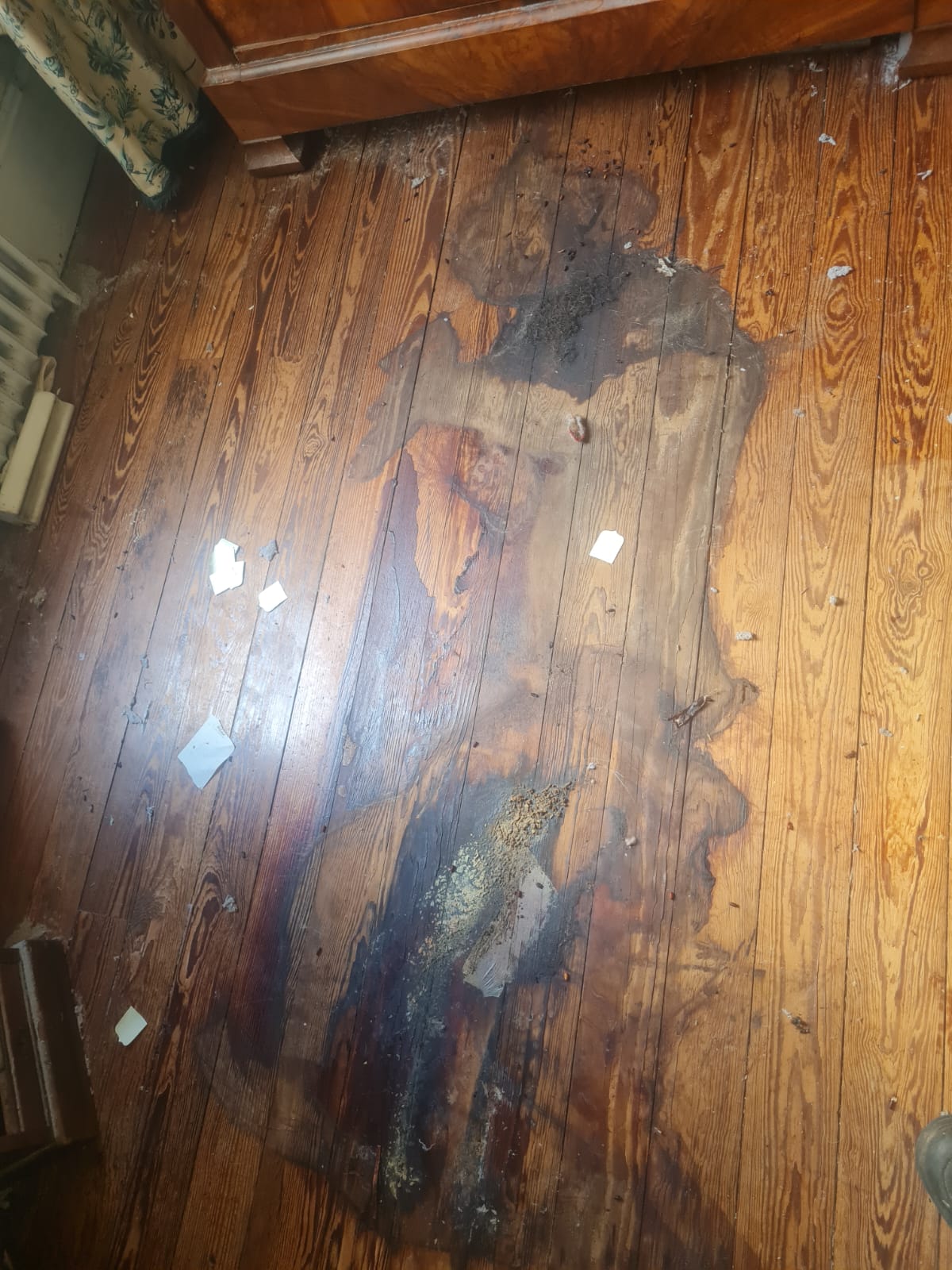 WhatsApp Image 2025 04 17 A 15.45.13 D350b607